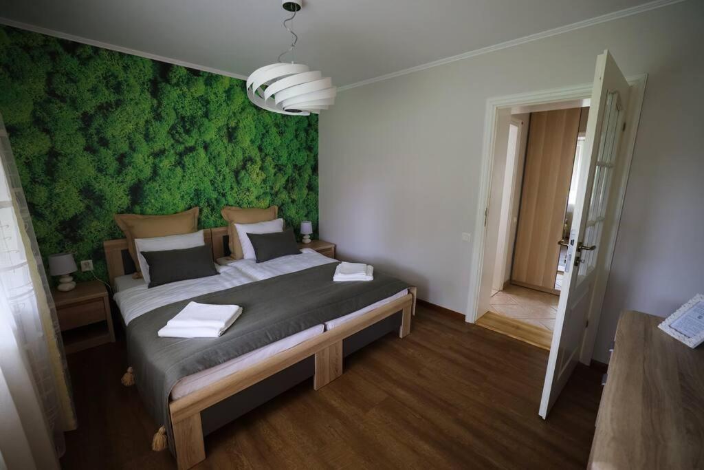 Greenland Apartments Cēsis Dış mekan fotoğraf